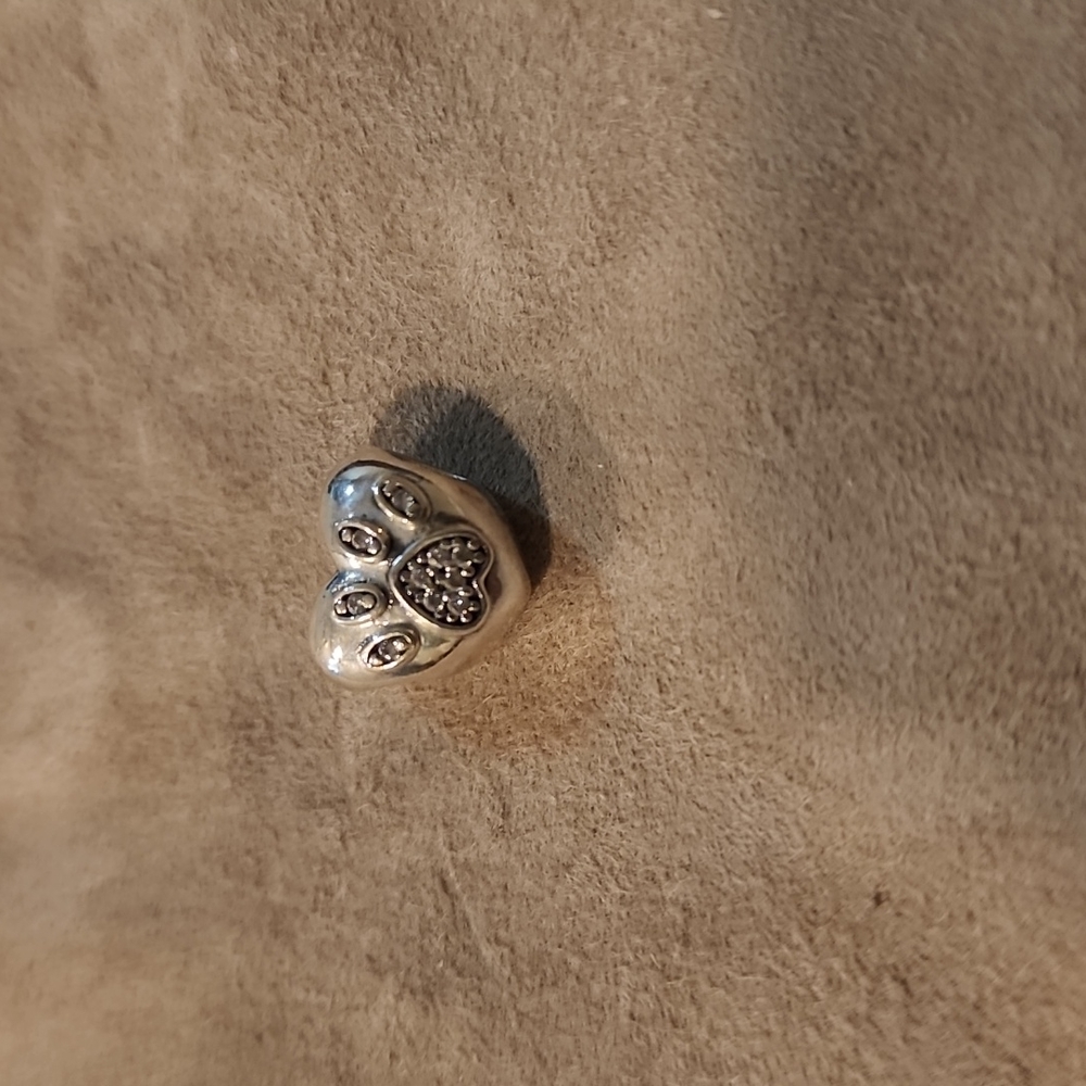 Pandora Charm